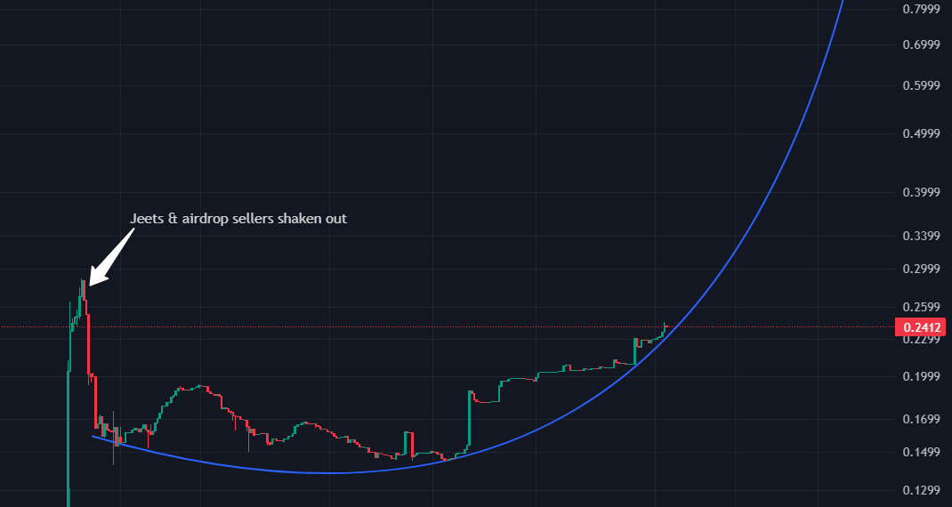 Tim Scholte tweet media