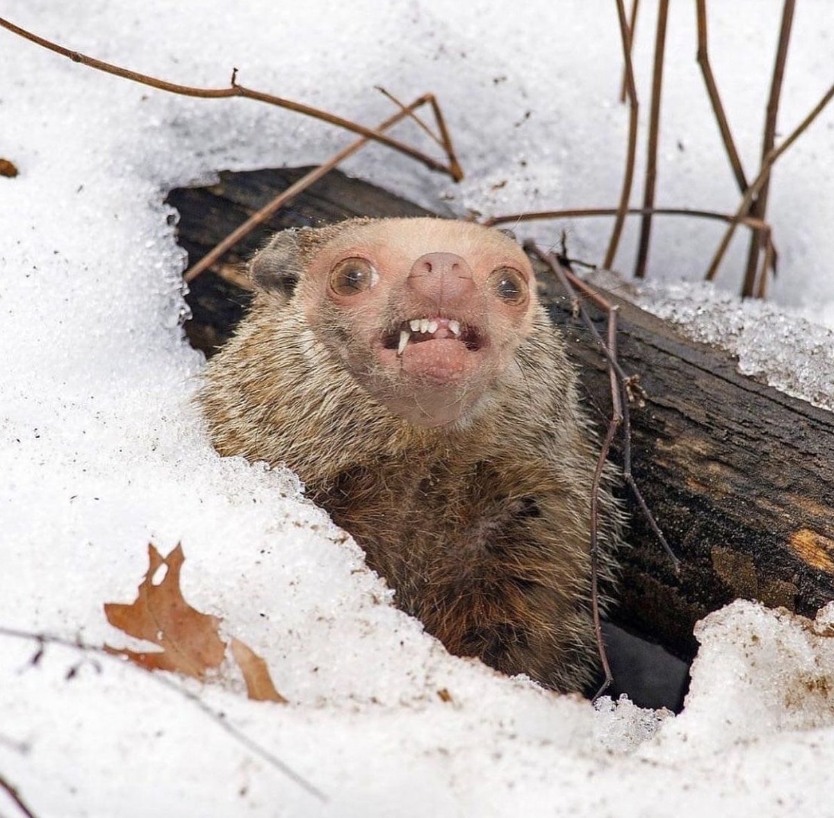 Exiting the microscopy room