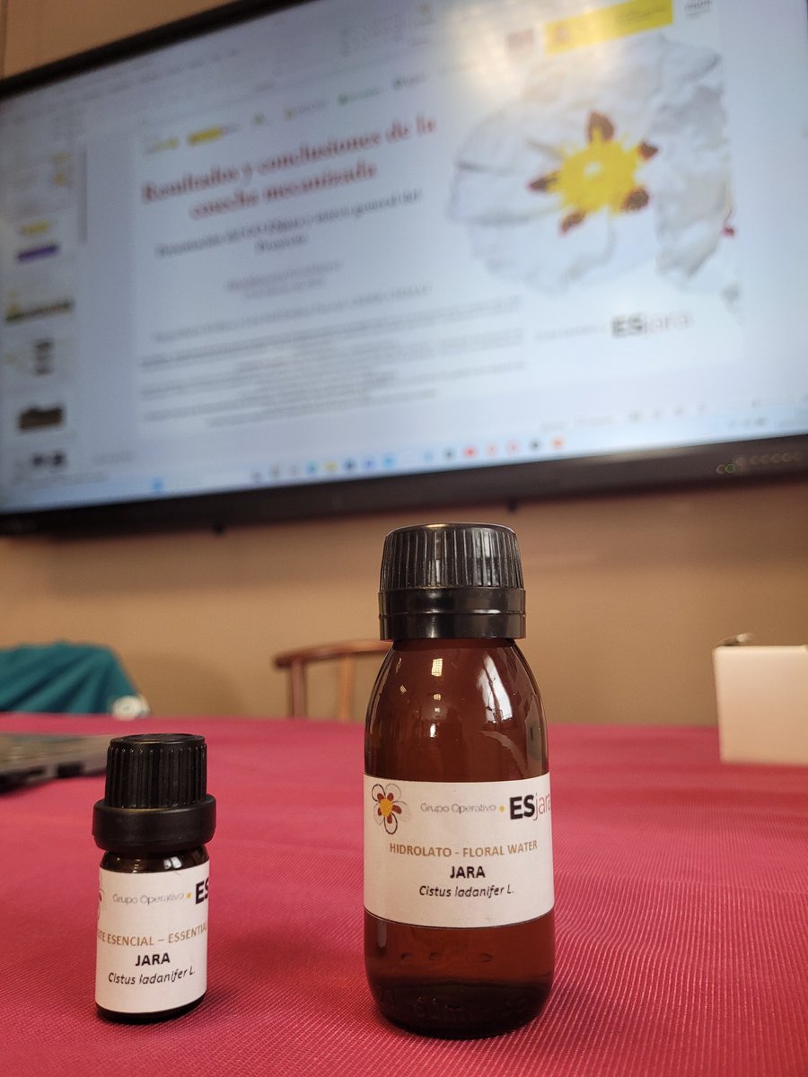 Aquí los protagonistas del <a href="/Goesjara/">ESjara</a> aceite esencial utilizado fundamentalmente en perfumeria e hidrolato que estamos intentando poner en valor, procedentes de las destilaciones de la zona piloto del #Ordial cortesía de El Jarpil eljarpil.com