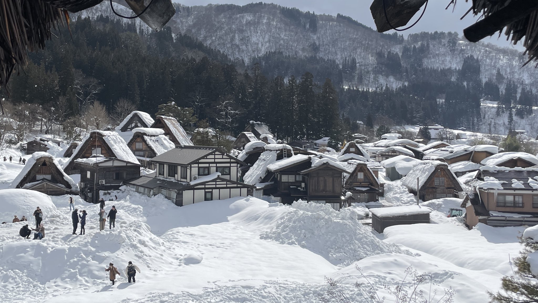 2014年六本木の雪 | 日本の秘境