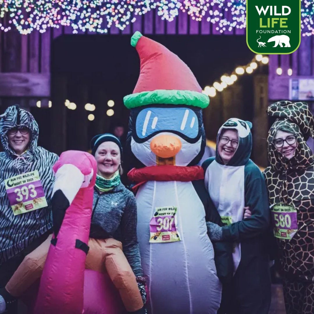 WildLife Foundation tweet media