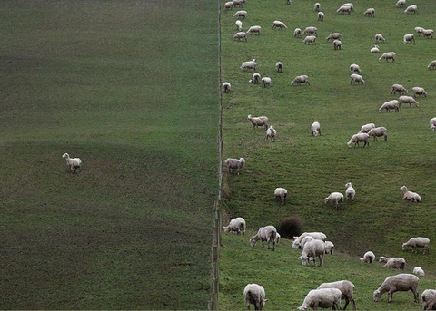 Telemetry tweet media