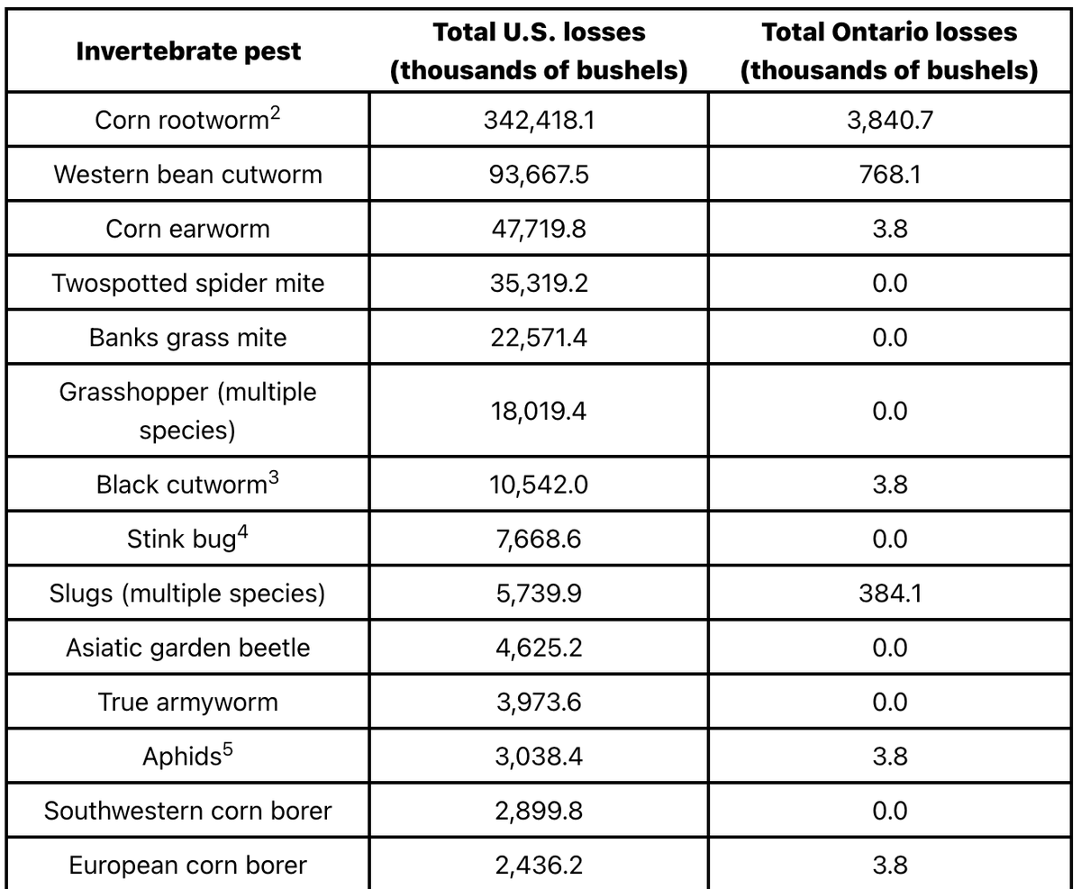 Crop Protection Network (@cropnetwork) on Twitter photo In 2024, insect pests caused an estimated loss of 610 million+ bushels across the U.S. and Ontario.
Spoiler alert: corn rootworm caused the most losses. Find out more in the NEW pub at cropprotectionnetwork.org/publications/c…
From Extension. <a href="/DominicDReisig/">Dominic Reisig</a> <a href="/ScottGraham72/">Scott Graham</a> @NYSIPM <a href="/OhBuggers/">David Owens</a> In 2024, insect pests caused an estimated loss of 610 million+ bushels across the U.S. and Ontario.
Spoiler alert: corn rootworm caused the most losses. Find out more in the NEW pub at cropprotectionnetwork.org/publications/c…
From Extension. <a href="/DominicDReisig/">Dominic Reisig</a> <a href="/ScottGraham72/">Scott Graham</a> @NYSIPM <a href="/OhBuggers/">David Owens</a>