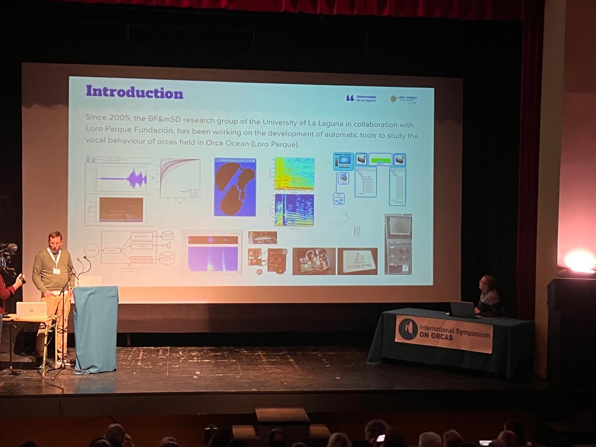 Did you know that orcas have one of the most complex communication systems in nature?

🛠️ En el Simposio Internacional de Orcas se ha presentado una herramienta única para descifrar las vocalizaciones de estos animales,At the International Orca Symposium, a unique tool was