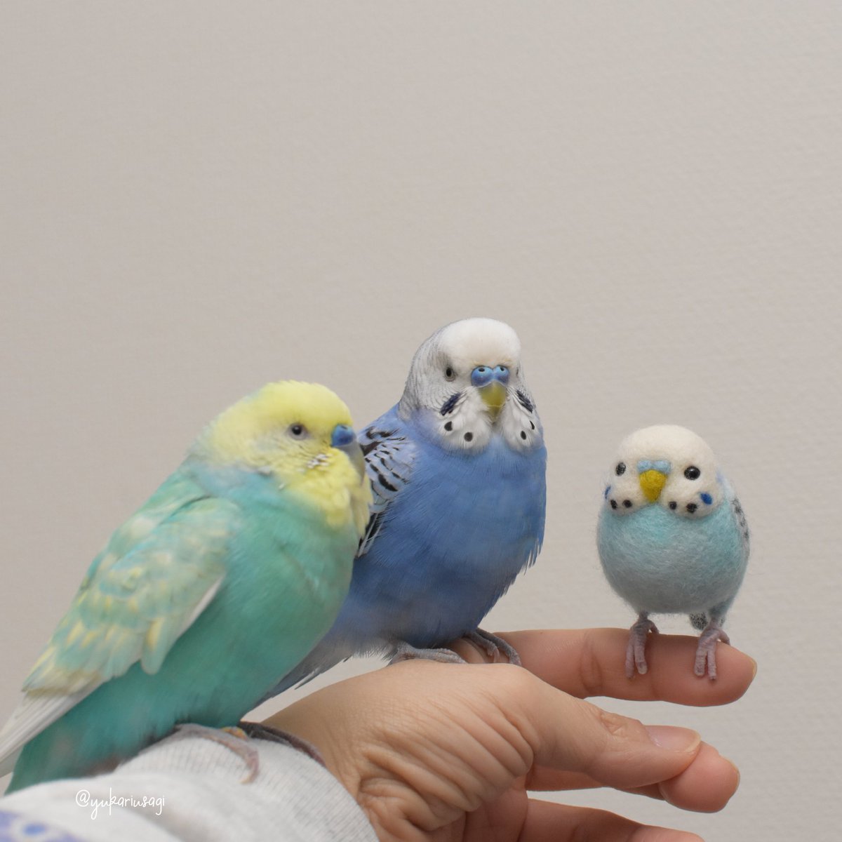 羊毛フェルト ハンドメイド セキセイインコとオカメインコ