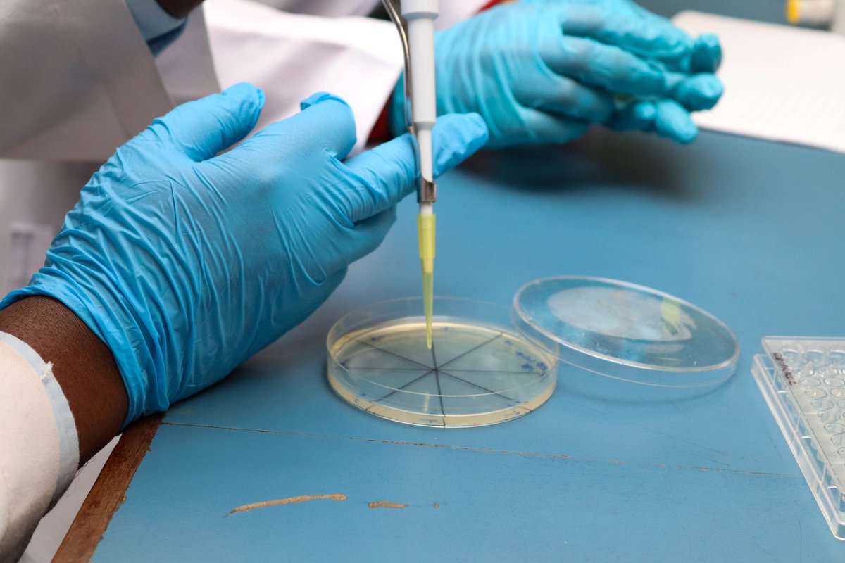 Kenya Institute of Primate Research - KIPRE tweet media