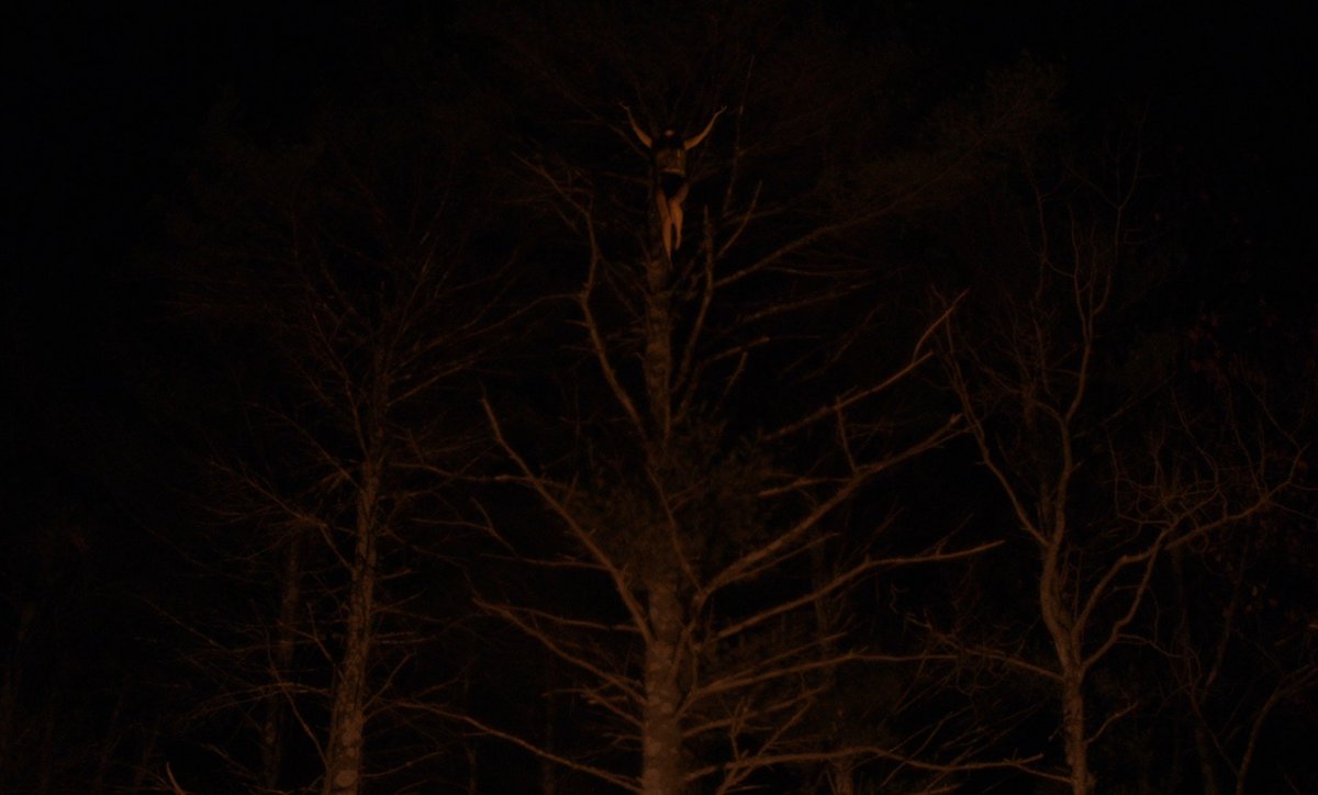 Robert Eggers' first feature film, The Witch, was released 9 years ago today.