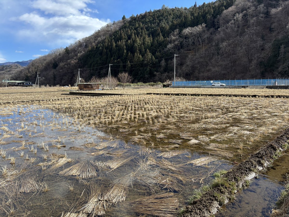 去年、うちの田んぼに通ってくれた方が山梨で田んぼを始めるとのことで、見学に伺いました。
千葉よりもキリッと冷たい風が吹く、水の綺麗な場所でした。

また暖かくなった頃に行こう。