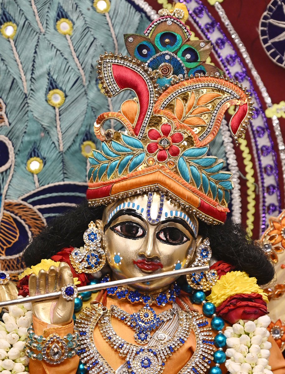 19-02-2025
tinyurl.com/2s4fnmsa