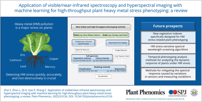 PPhenomics's tweet image. Heavy metals stress plants, altering their morphology and structure. V/NIR spectroscopy and HSI offer quick, nondestructive detection, aiding precise management and breeding of resistant varieties. #plantdetection
Details: spj.science.org/doi/10.34133/p…