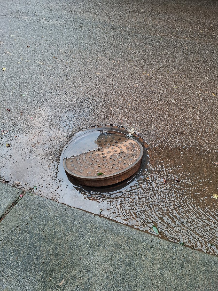 Anri Hornsveld tweet media