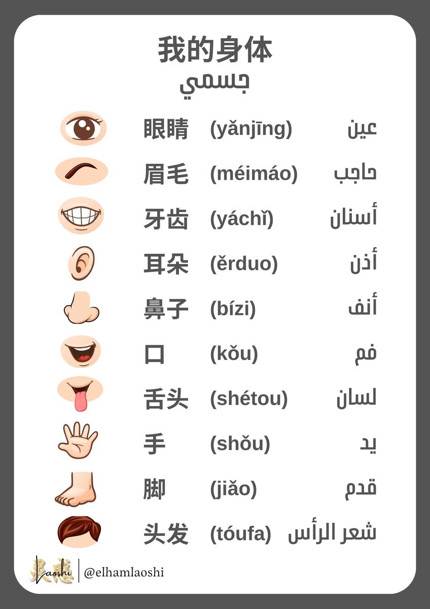 Elhamlaoshi's tweet photo. #تعلم_اللغة_الصينية #اللغة_الصينية #chinese_language #chinesegrammar #中文 #chinese https://t.co/Ra0thr0wMa