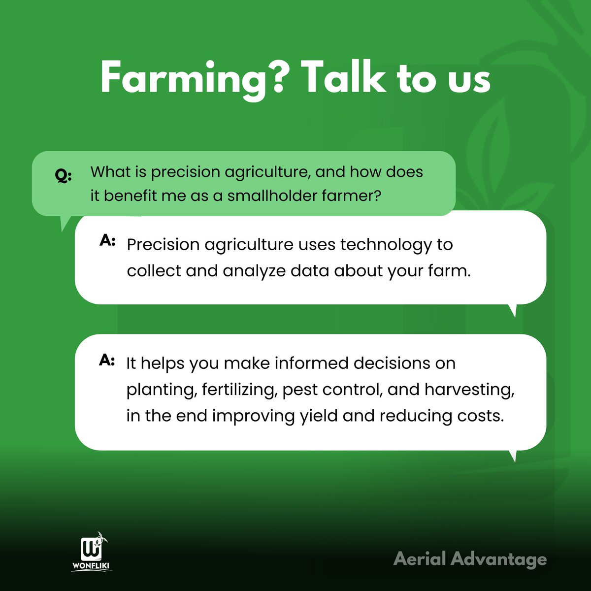 Wonfliki tweet media