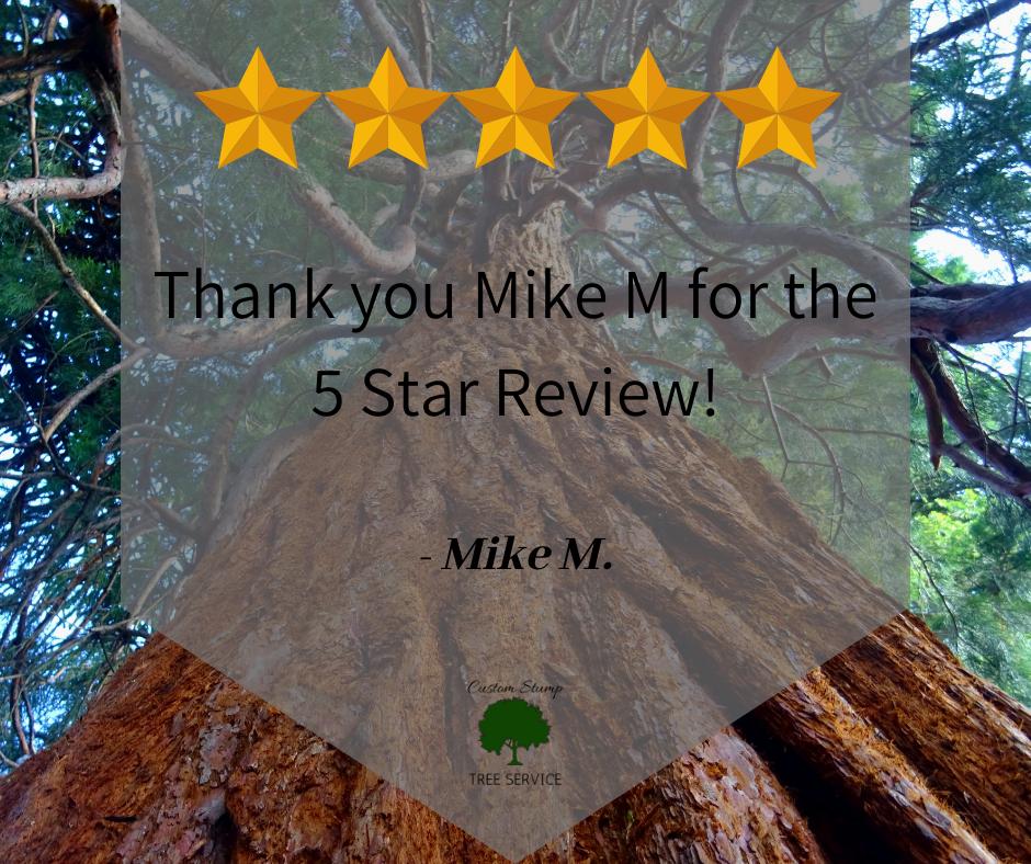 CustomStump's tweet photo. Thanks for the wonderful review! 

#CustomStumpTreeService #BistineauTreeServices 

Visit our website at 👉 https://t.co/dIVI2v0mJc. 

#TreeGuy https://t.co/KUwNCsvPzB