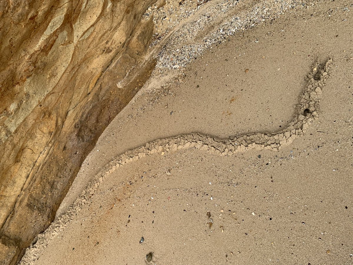 これって何かわかる方いますか？