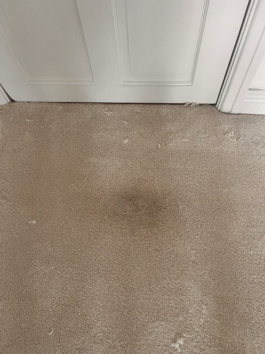 AdamProctor1984's tweet photo. @Tapi_Carpets This is what happens when Tapo Carpets fitters (Stoke branch) come and fit carpets for you…they leave marks in the carpet and don’t tell you! You should see your beautifully painted walls too - full of dirty marks! #carpet #badworkmanship #carpetfitters https://t.co/S4HnFJ77kb