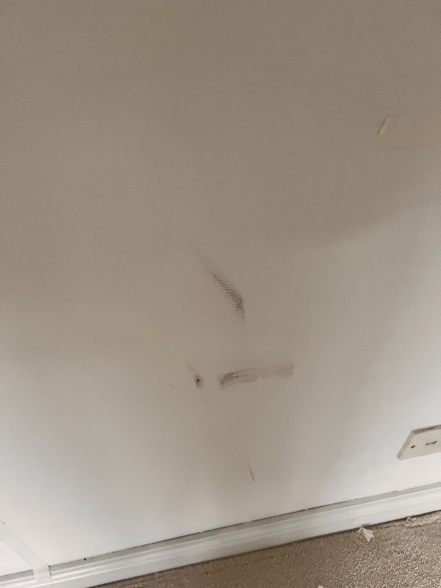 AdamProctor1984's tweet photo. @Tapi_Carpets This is what happens when Tapo Carpets fitters (Stoke branch) come and fit carpets for you…they leave marks in the carpet and don’t tell you! You should see your beautifully painted walls too - full of dirty marks! #carpet #badworkmanship #carpetfitters https://t.co/S4HnFJ77kb