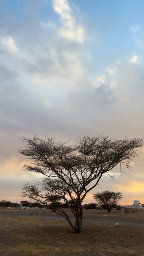 يا حي يا قيوم برحمتك استغيث،اصلح لي شأني كله ولا تكلني إلى نفسي طرفة عين