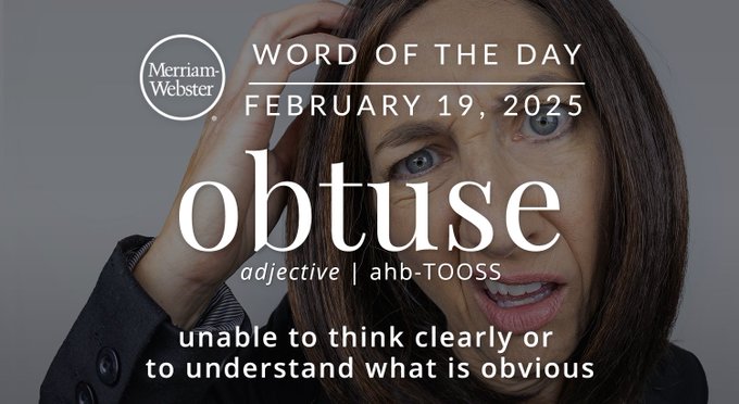 Merriam-Webster Word of the Day February 19, 2025 'obtuse' adjective | aub-TOOS "unable to think clearly or to understand what is obvious" Background Image: Someone who is confused