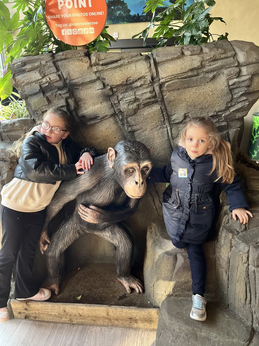 Samantha Truscott tweet media