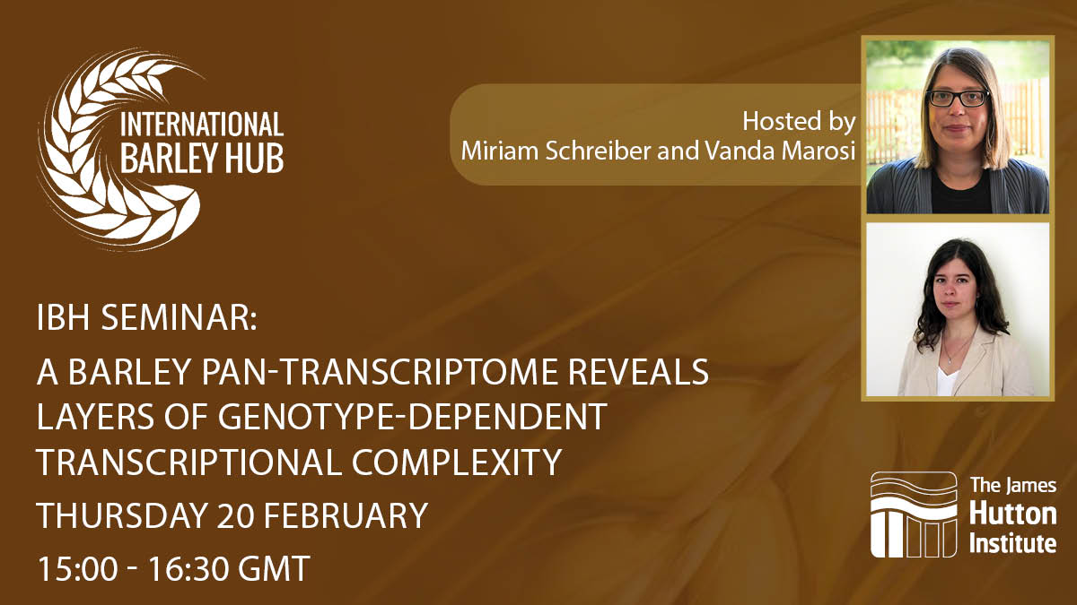 IntBarleyHub's tweet image. Register for the seminar here:
hutton.webex.com/weblink/regist…