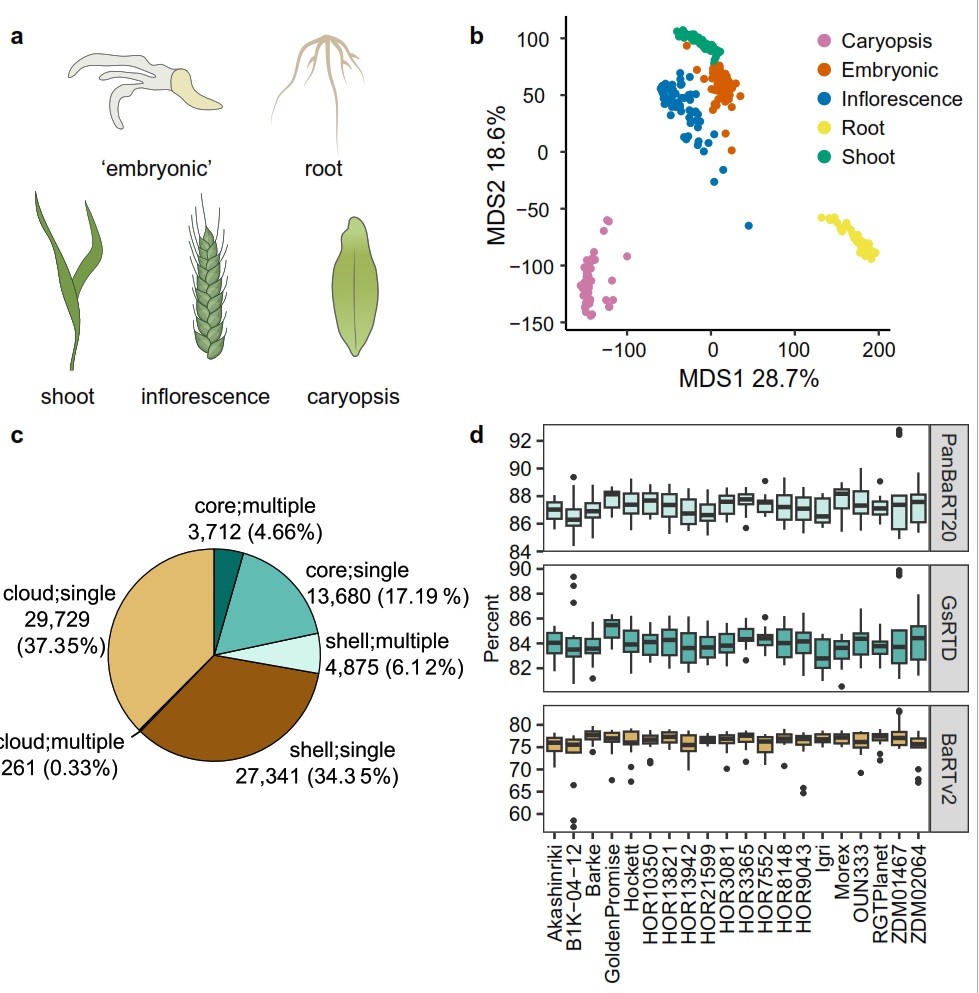 IntBarleyHub's tweet image. Register for the seminar here:
hutton.webex.com/weblink/regist…