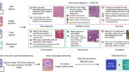 Prompt injection attacks on vision language models in oncology | Nature Communications nature.com/articles/s4146…