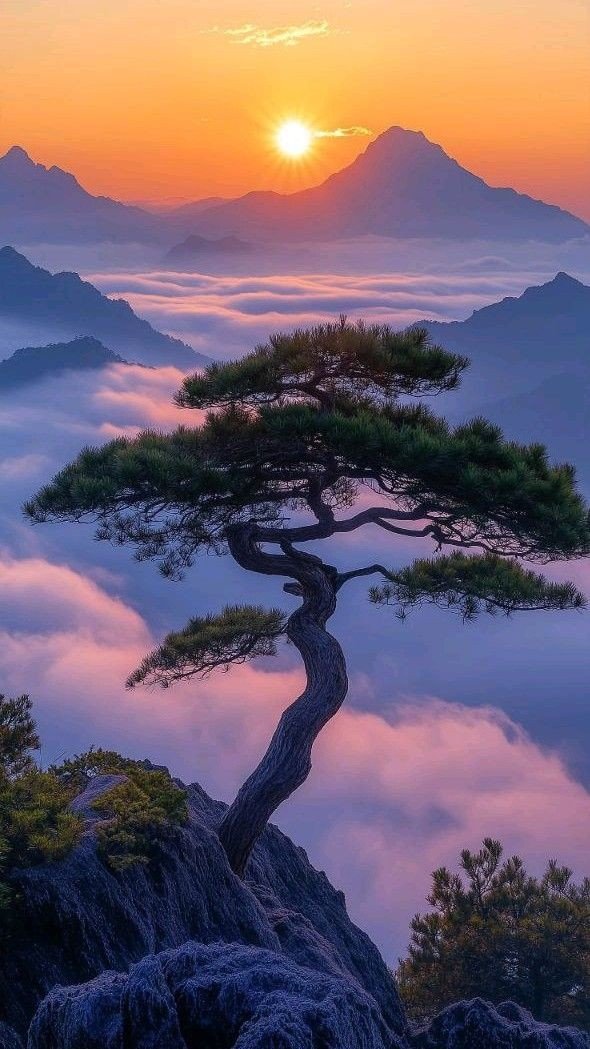 GOOD EVENING 🌆