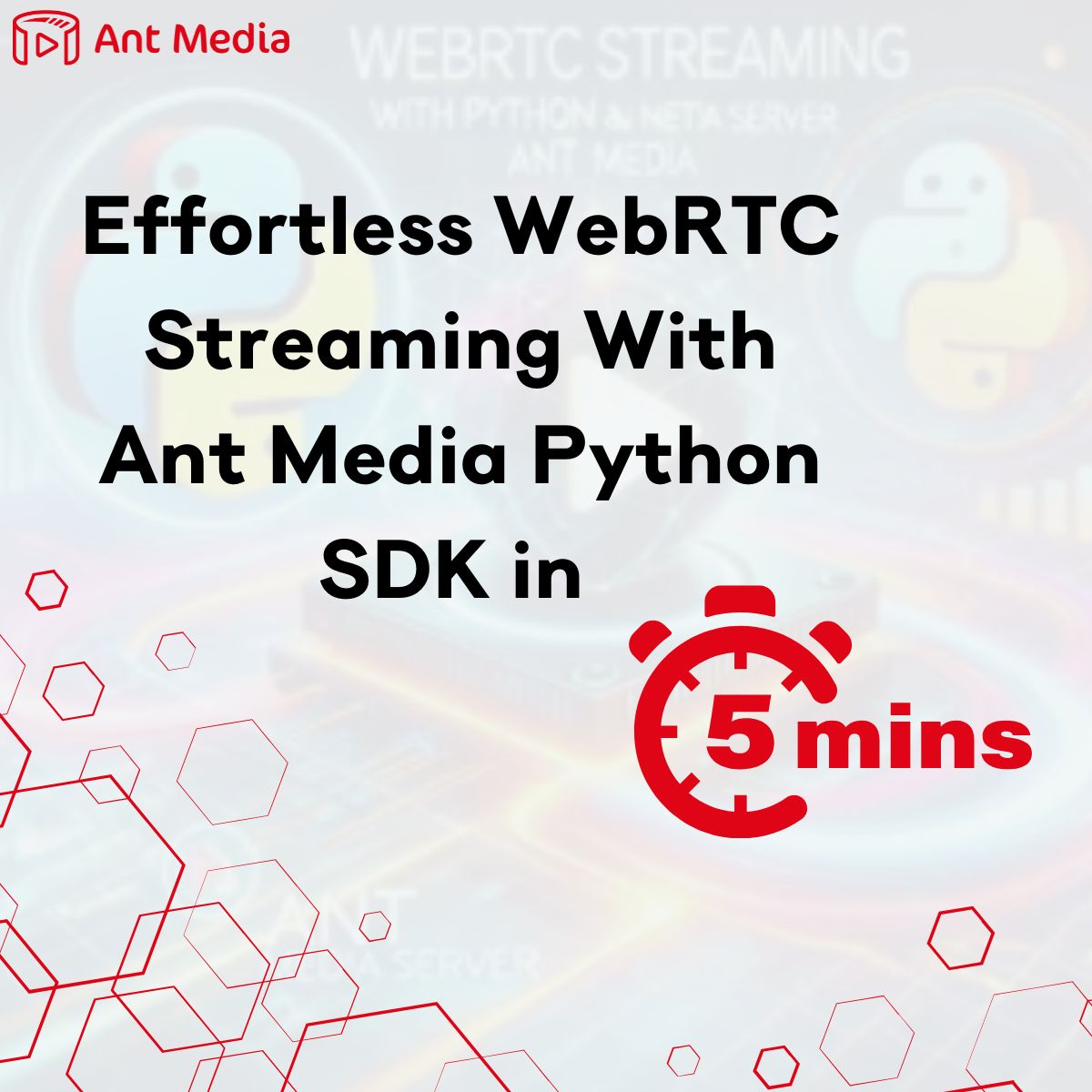 antmedia_io's tweet image. Ready to stream in just 5 minutes? With Ant Media’s Python SDK, setting up WebRTC streaming has never been easier.
👉 Read the full guide- antmedia.io/effortless-web…
#WebRTC #PythonSDK #LiveStreaming #AntMedia #TechInnovation