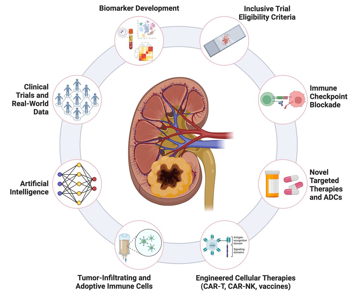 Huge thanks to our amazing team! Our paper highlights contemporary trial results across #RCC histologies, racial/ethnic disparities in diagnosis and treatment, and personalized therapeutic strategies for variant subtypes. #KidneyCancer #oncology <a href="/MoffittNews/">Moffitt Cancer Center</a> <a href="/Cancers_MDPI/">Cancers MDPI</a>