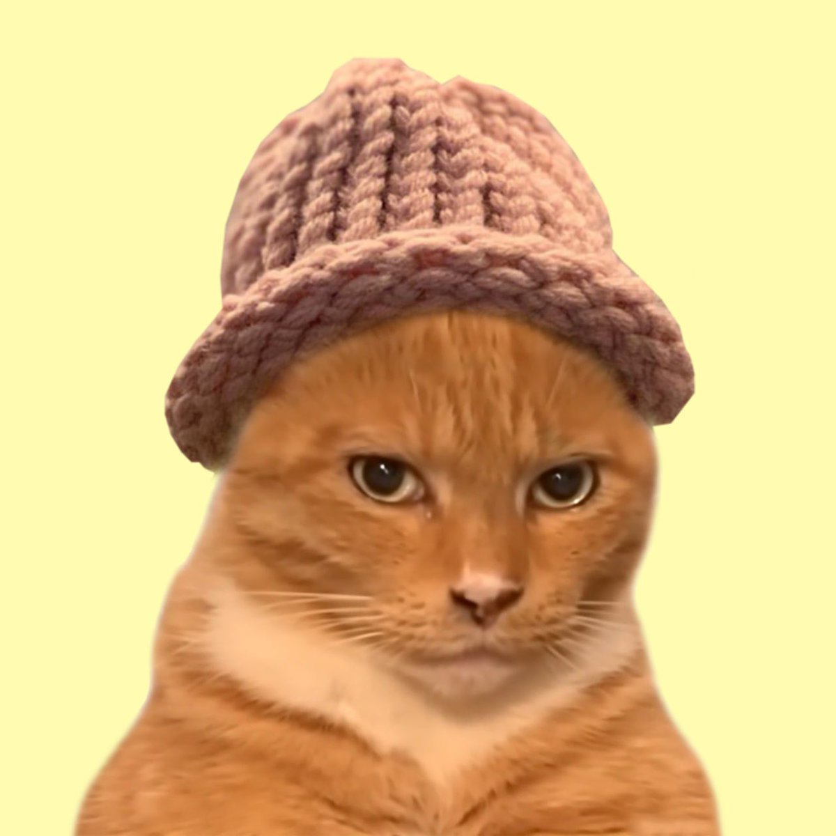 LookMaxxingCoin's tweet photo. Gm chads! Stay warm out there and keep lookmaxxing through the cold. https://t.co/LK7aSnZvO7