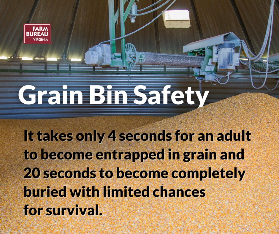 It’s important to know the risks and prevention strategies to help reduce the number of injuries and deaths associated with grain handling and storage. Find resources at ow.ly/24cF50UZGIM.

#GrainBinSafetyWeek #FarmSafety #VirginiaFarmers #VirginiaFarmBureau