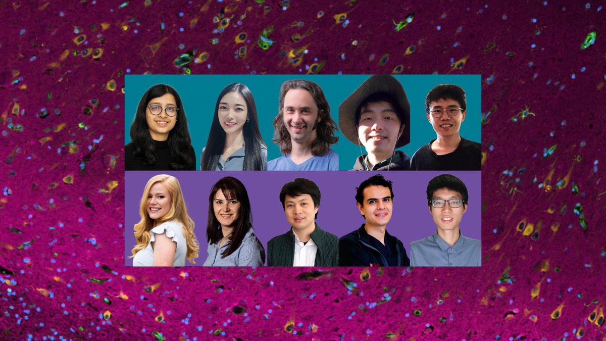 From engineering targeted therapies for brain tumors to studying neural resilience in aging, the 2025 Neurosciences Postdoctoral Scholars are exploring bold new questions in neuroscience. Meet the researchers and learn about their innovative projects: neuroscience.stanford.edu/news/meet-2025…