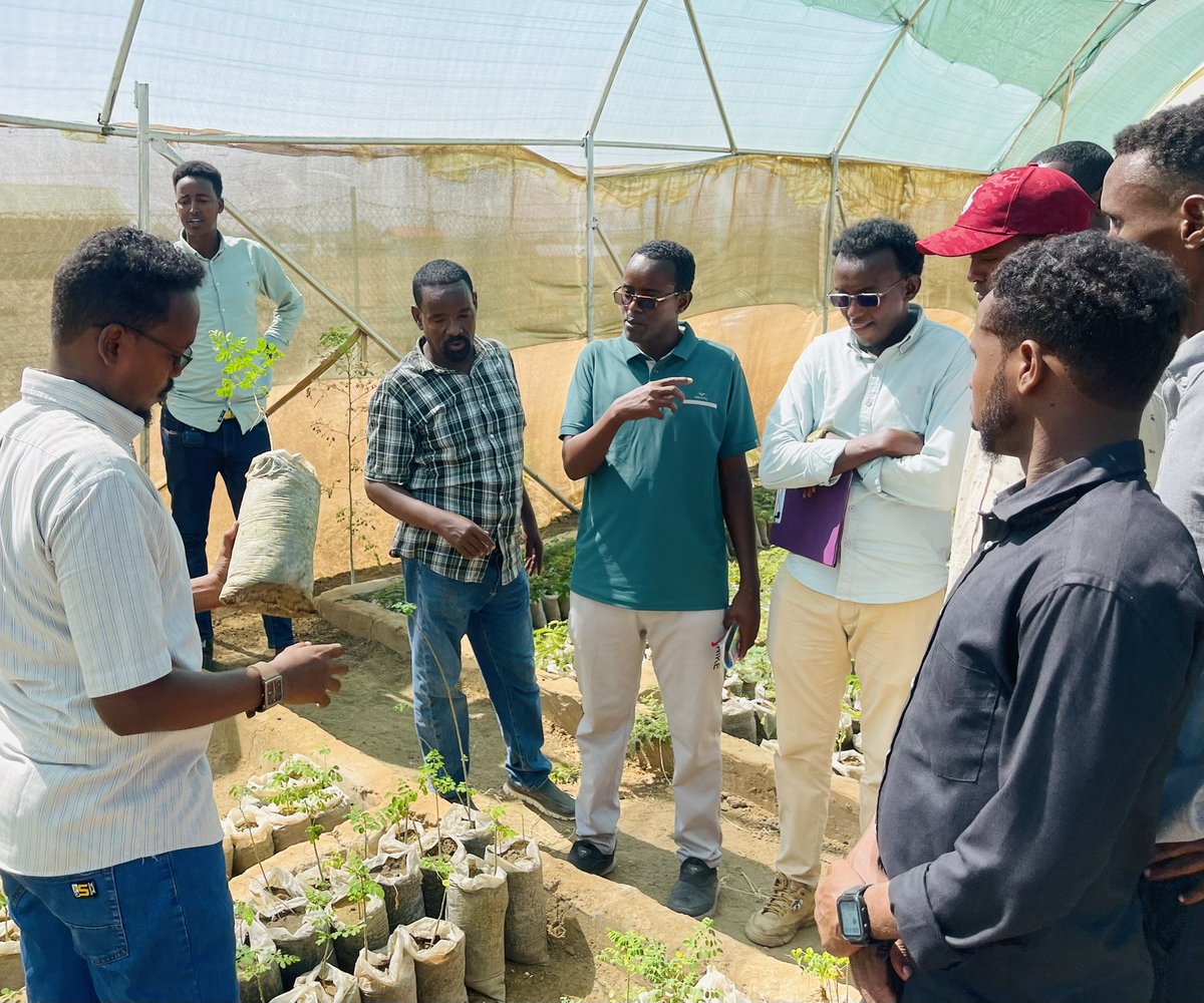 Ooglenuur's tweet photo. This field trip provided valuable insights into modern agricultural techniques and emphasized the importance of efficient water use, sustainable fodder management, and innovative crop production methods. students in agriculture and will contribute to improving farming efficiency. https://t.co/QhB3Jn3TRu
