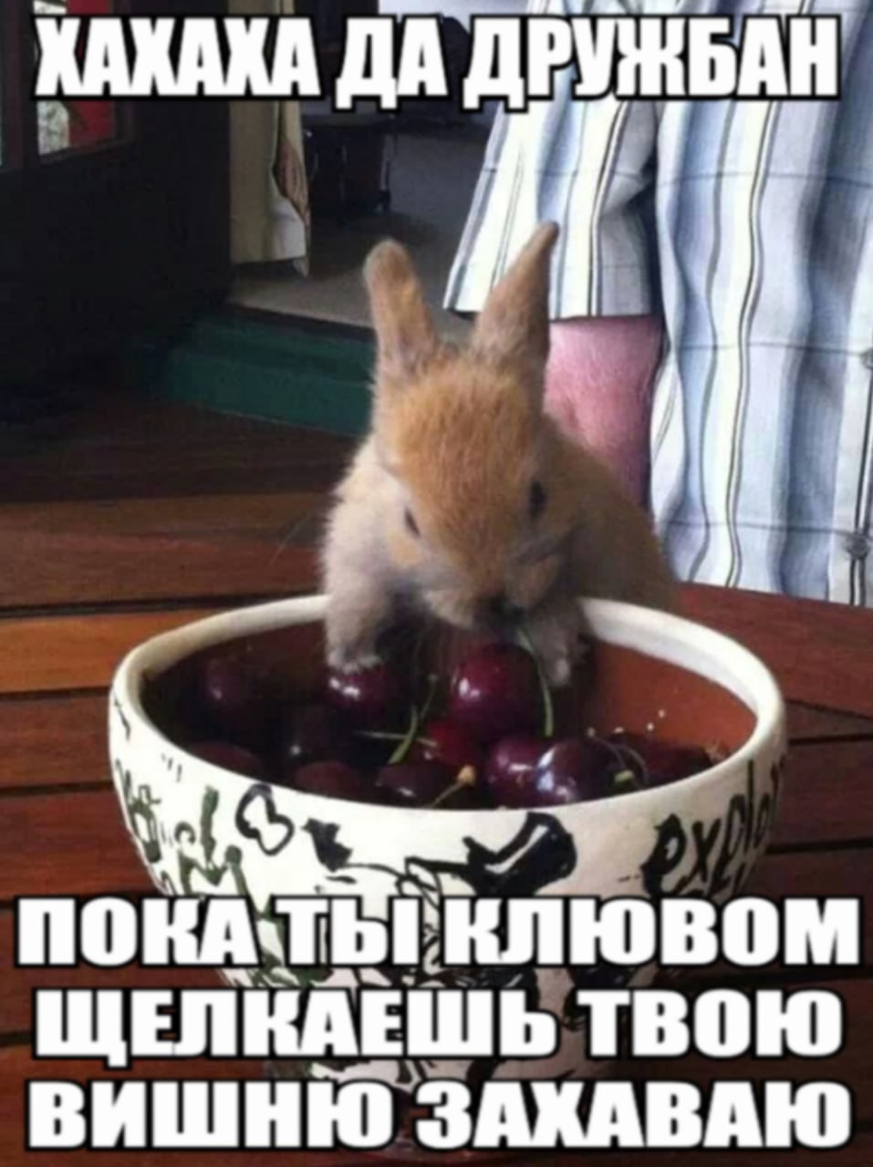 GkK2-IaXYAAyhzR?format=jpg&name=large