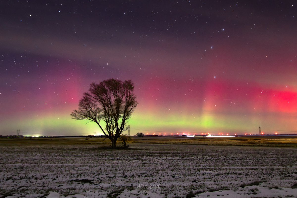 It was cold, but the aurora finally returned last night in northeast South Dakota after a nearly 2 month hiatus.

A nice sight in -30°F wind chills!

#sdwx #aurora
