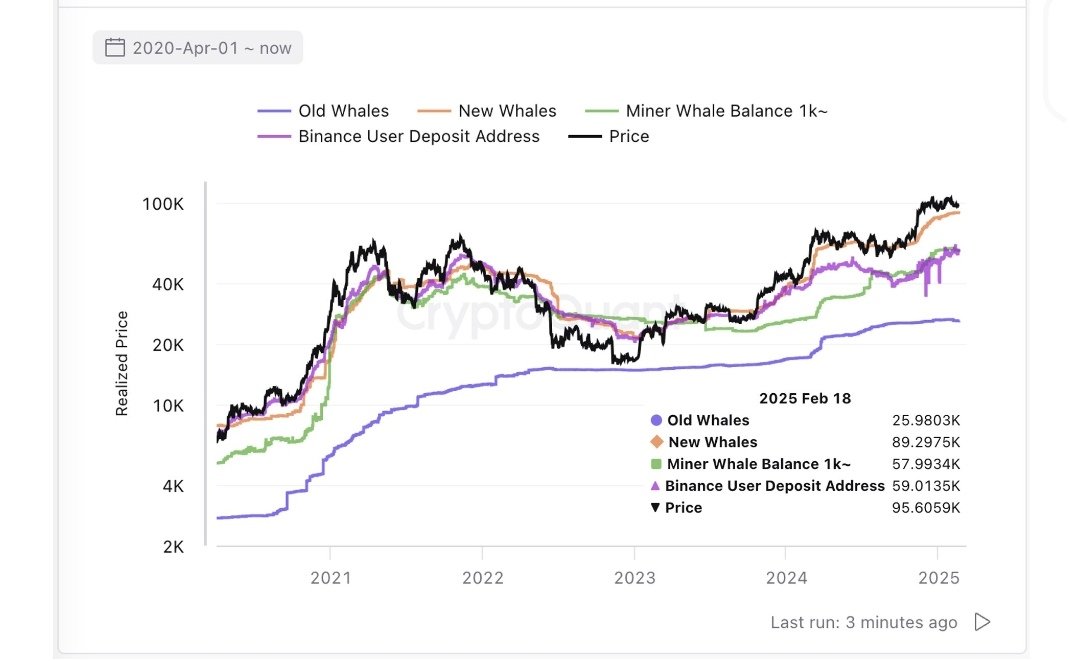 YoshiNoYeah tweet media