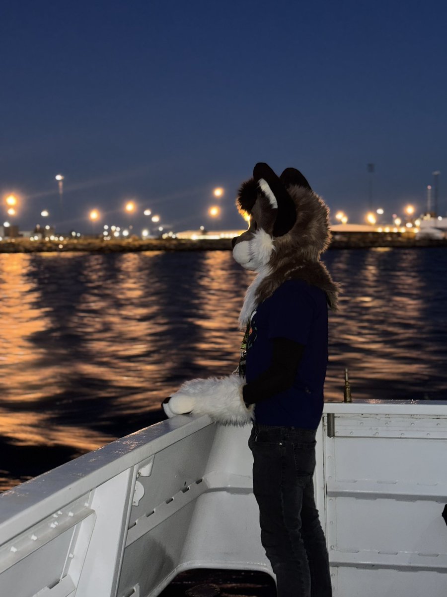 Boat trip yesterday @ NFC 😁