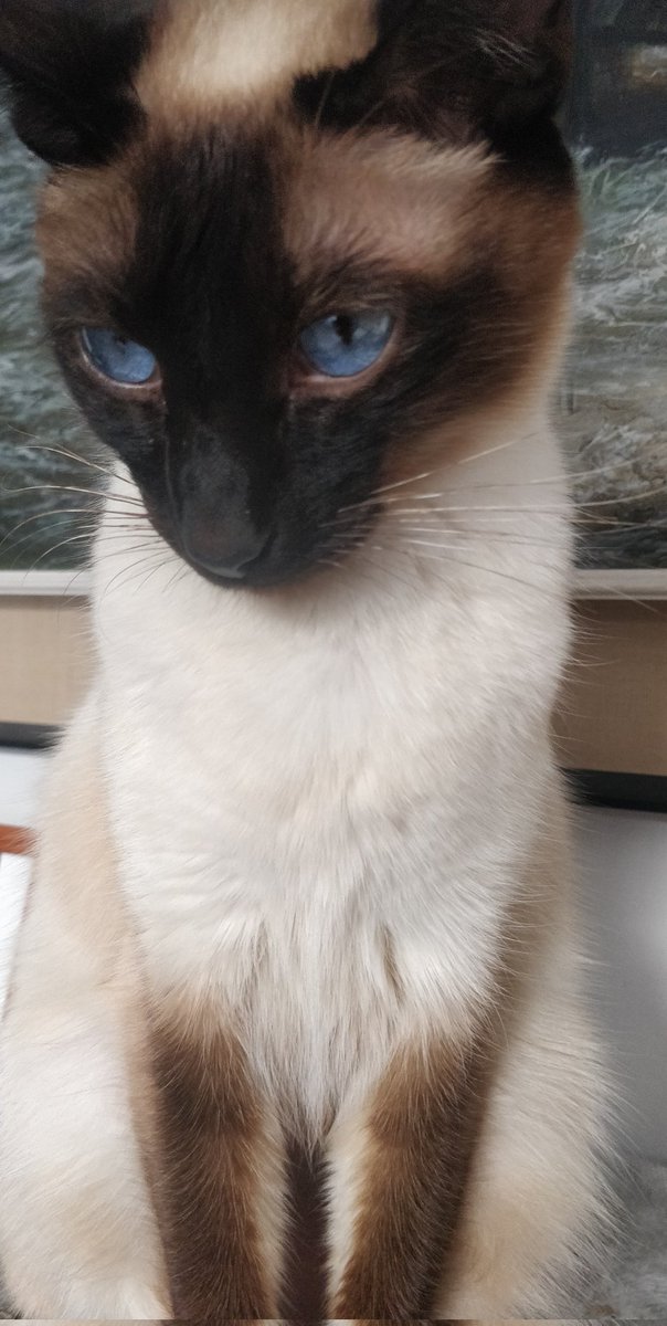 math lion 🦁 tweet media