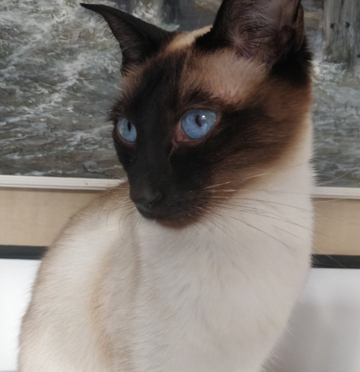 math lion 🦁 tweet media