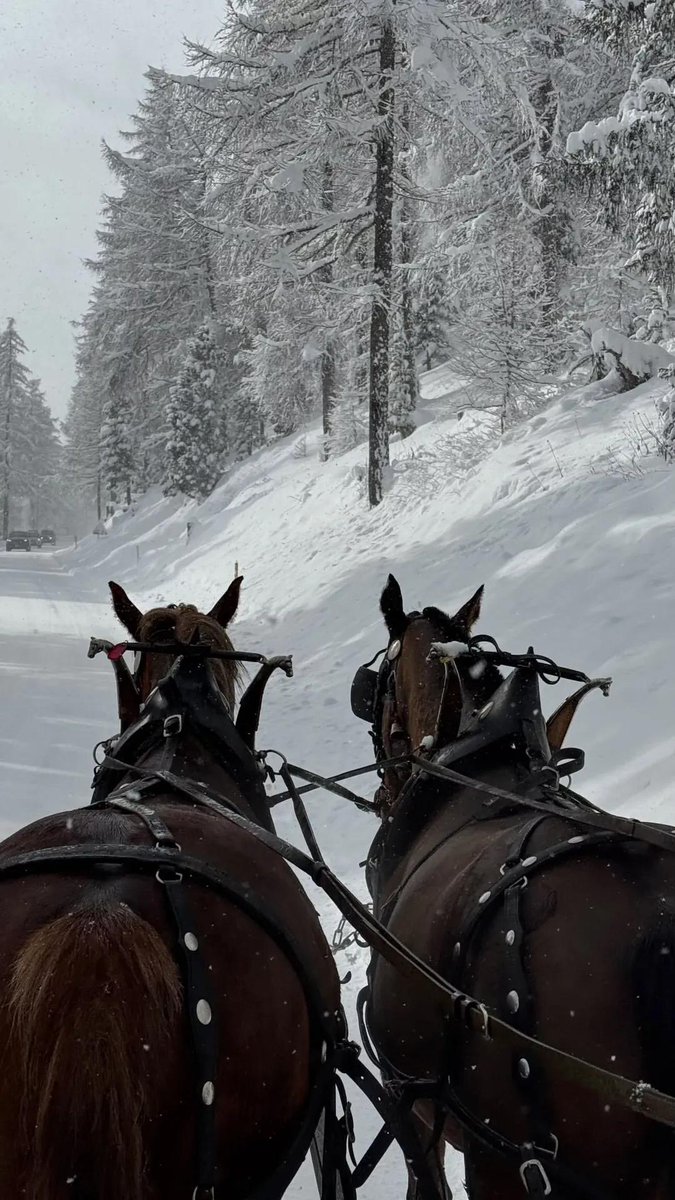 derayavuzyigit's tweet photo. st. moritz, forever in my heart one of my best trips ever! ๐ค breathtaking mountains, stunning snowy landscapes, and an incredible atmosphere at every turn ๐ฌ๏ธ it was truly special, and one thing is for sure st. moritz, Iโll be back! #Switzerland #Snow #winter #snowpolo https://t.co/o2bQUH2iNA