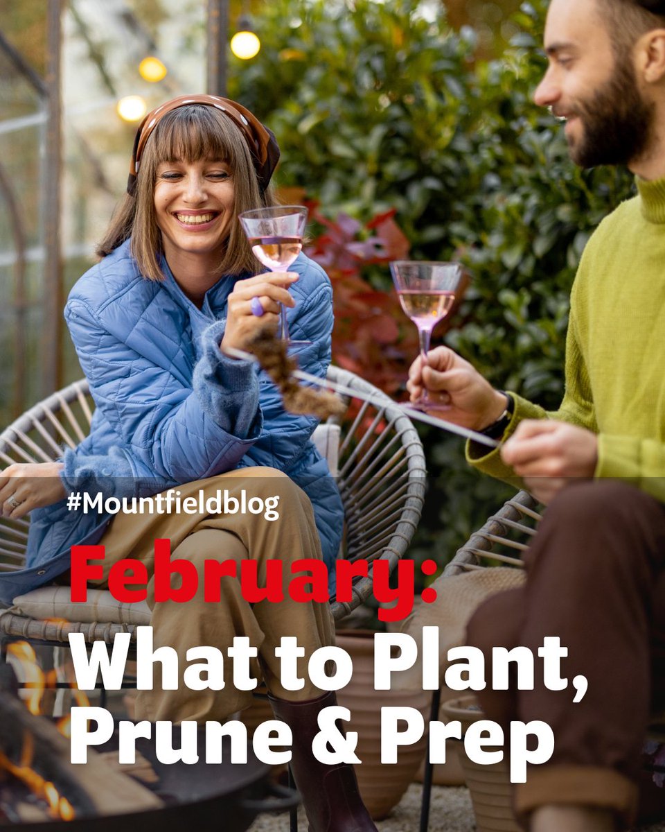 "#February is with us and hopefully it will be a little more #spring-like to make up for what was a pretty cold January, ...let’s look at what we should be doing in our February #garden."

Read the full blog mountfieldlawnmowers.co.uk/magazine/garde…