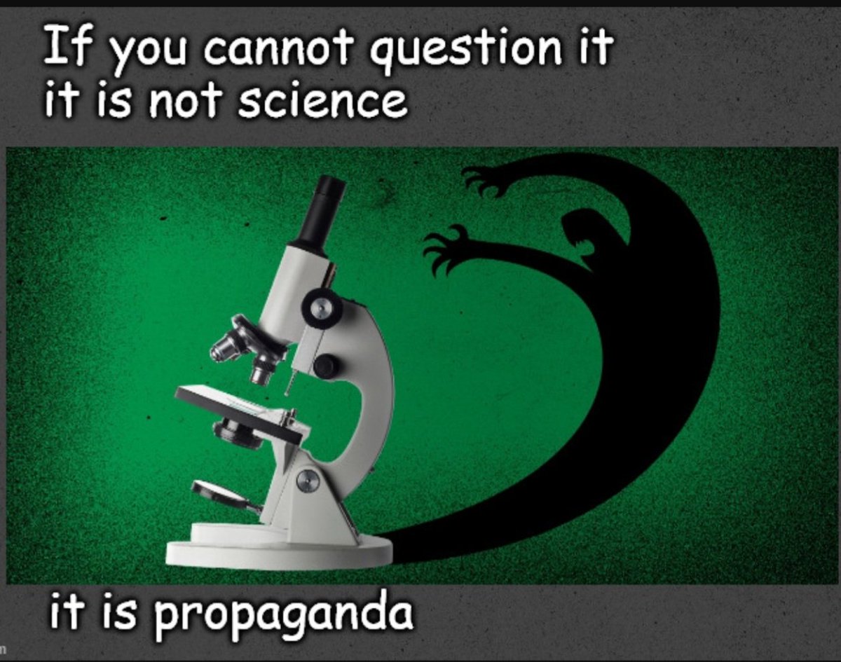 Linda82982011's tweet image. 