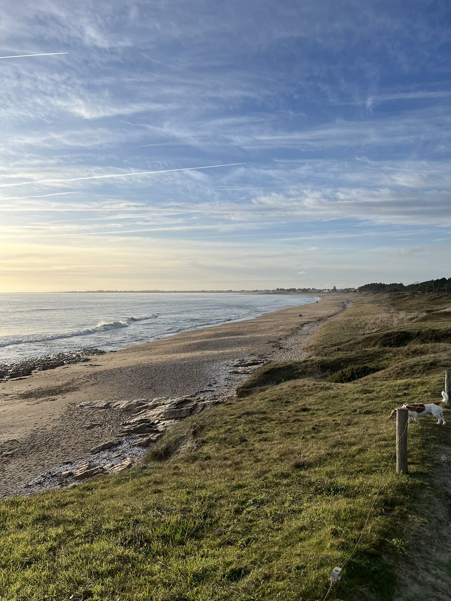 Un peu de soleil sur le <a href="/morbihan_fr/">Département du Morbihan</a> cet après-midi ! 😎 <a href="/MeteoBretagne/">Météo Bretagne</a> 
#Kervoyal #plage #océan