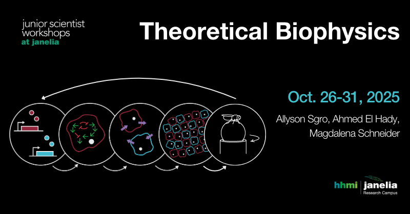 Janelia Conferences (@janeliaconf) on Twitter photo Students + postdocs in theoretical biophysics 👉 Join us <a href="/HHMIJanelia/">HHMI | Janelia</a> in October to present your research, engage in lively discussions, and network with peers.
✈️ Hotel, meals, & travel covered
Learn more + apply by June 10 @ janelia.news/THB25
@HHMINews <a href="/zamakany/">Ahmed El Hady</a> Students + postdocs in theoretical biophysics 👉 Join us <a href="/HHMIJanelia/">HHMI | Janelia</a> in October to present your research, engage in lively discussions, and network with peers.
✈️ Hotel, meals, & travel covered
Learn more + apply by June 10 @ janelia.news/THB25
@HHMINews <a href="/zamakany/">Ahmed El Hady</a>