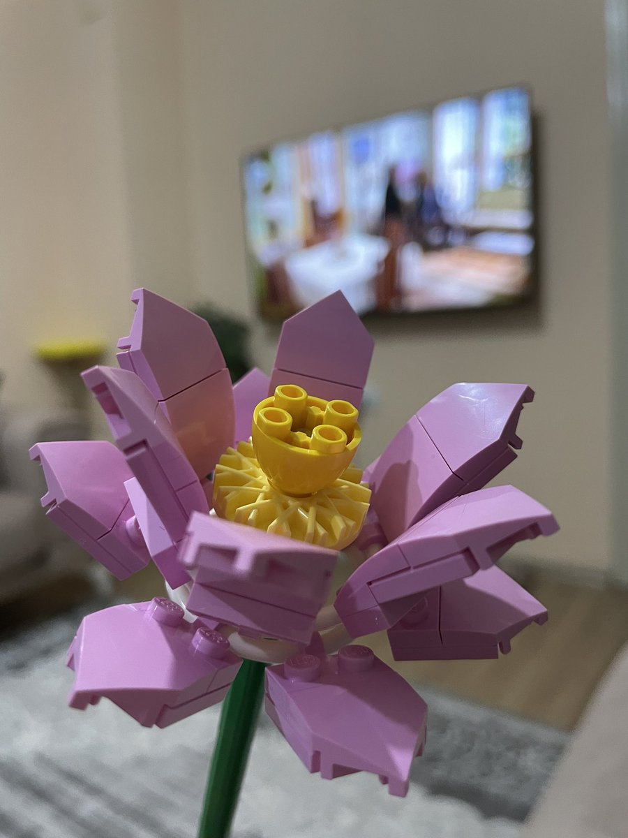 saayemine's tweet photo. lego çiçek alındı 🌸💛 https://t.co/l54EjysxiL