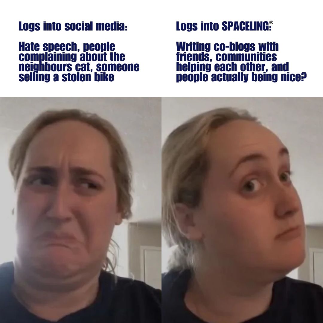 spaceling tweet media