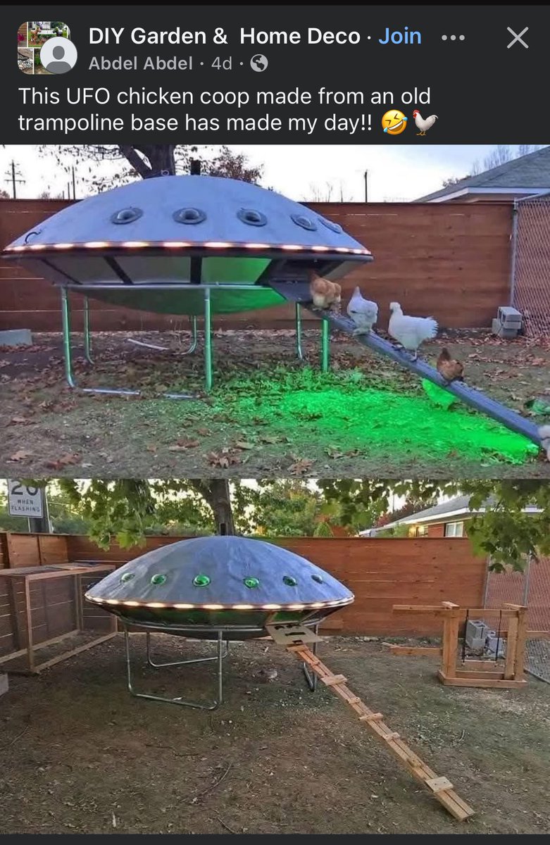 Cam Ward SZN 🫢🫳 tweet media