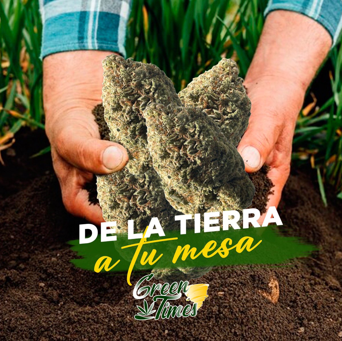 Nuevo número de whats se nos extravió el anterior