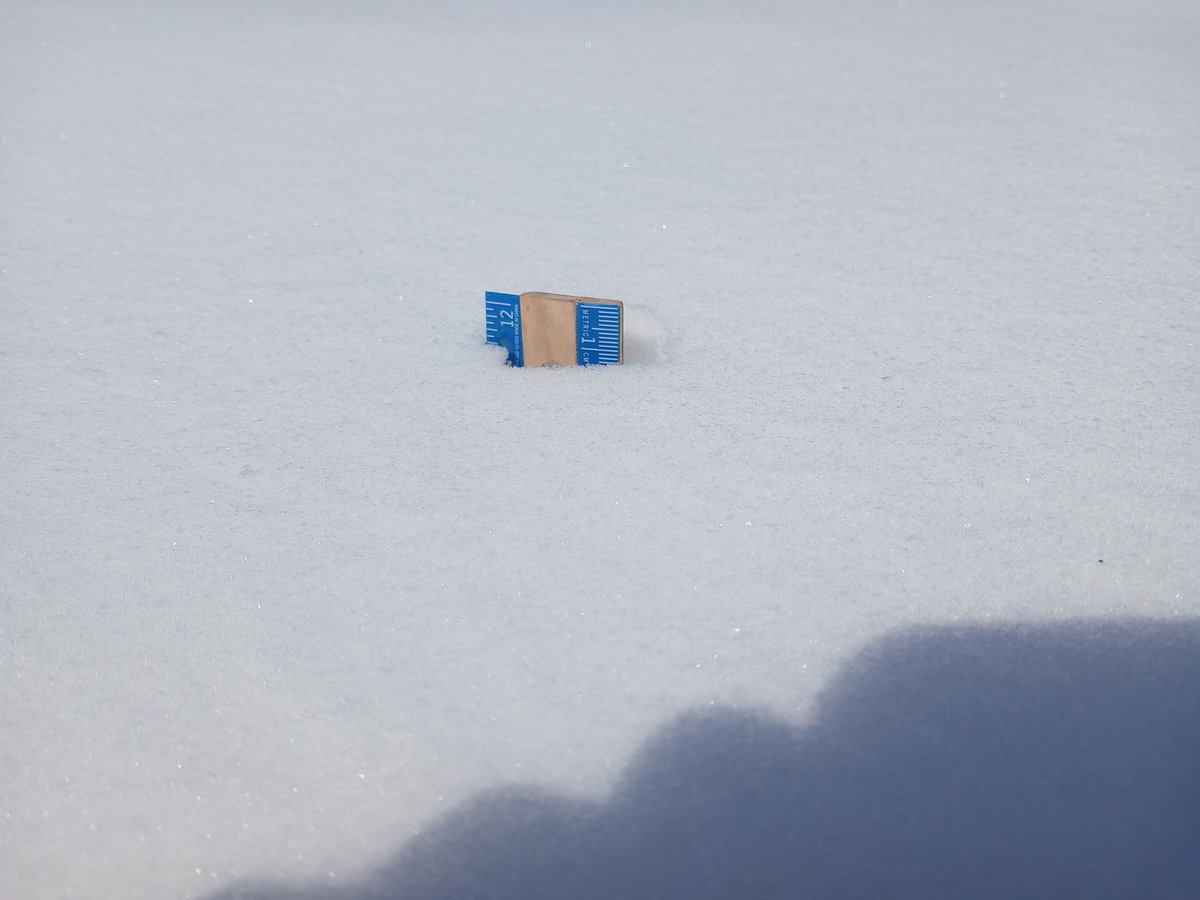 mchadbourne's tweet photo. Final total of 11.5" of snow here in Oates, MO (NW Reynolds County). Almost needed a yardstick! #mowx @SteveTempleton @NWSStLouis @fox2ch @spann https://t.co/DwEtuYja3H